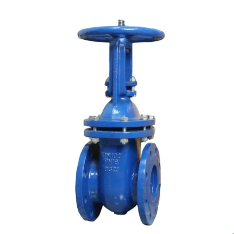 Rising Stem Solid Wedge Gate Valve