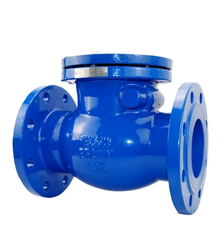 Swing Check Valve